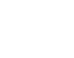 Parti Socialiste